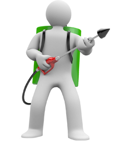 Pest Control Services - Call: 01202 042814 or Visit: www.pest-control-poole.co.uk | TPD Environmental Services