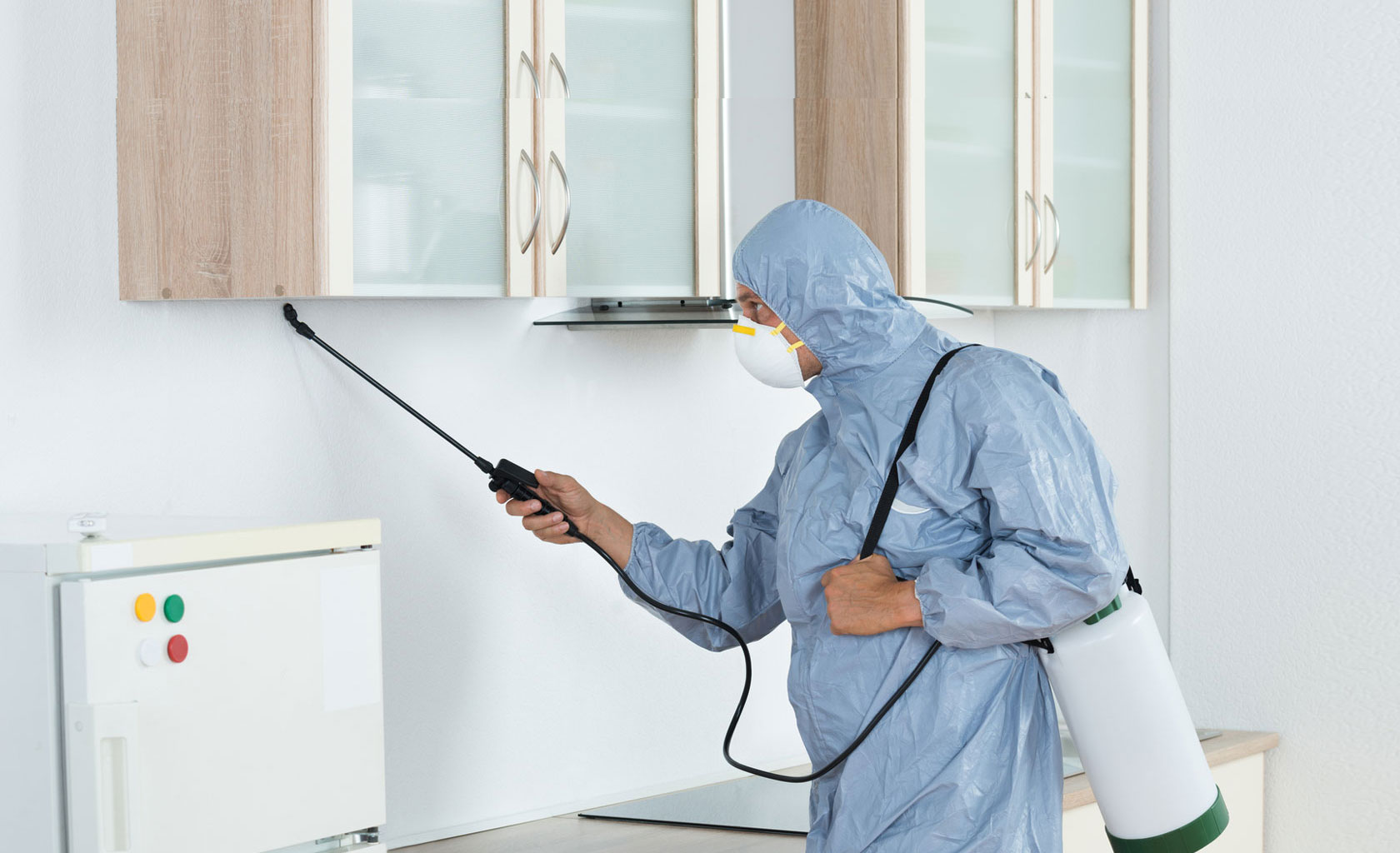 The Pest Detective Dorset - Removal of all Pests and Vermin | TPD Environmental Services