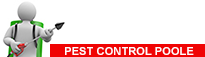 Pest Control Poole - Call: 01202 042814 or Visit: www.pest-control-poole.co.uk | TPD Environmental Services