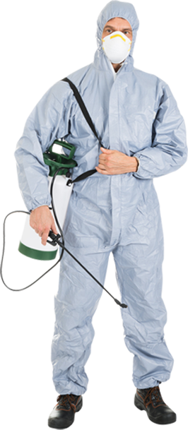 Pest Control Services - Call: 01202 042814 or Visit: www.pest-detective.co.uk | TPD Environmental Services